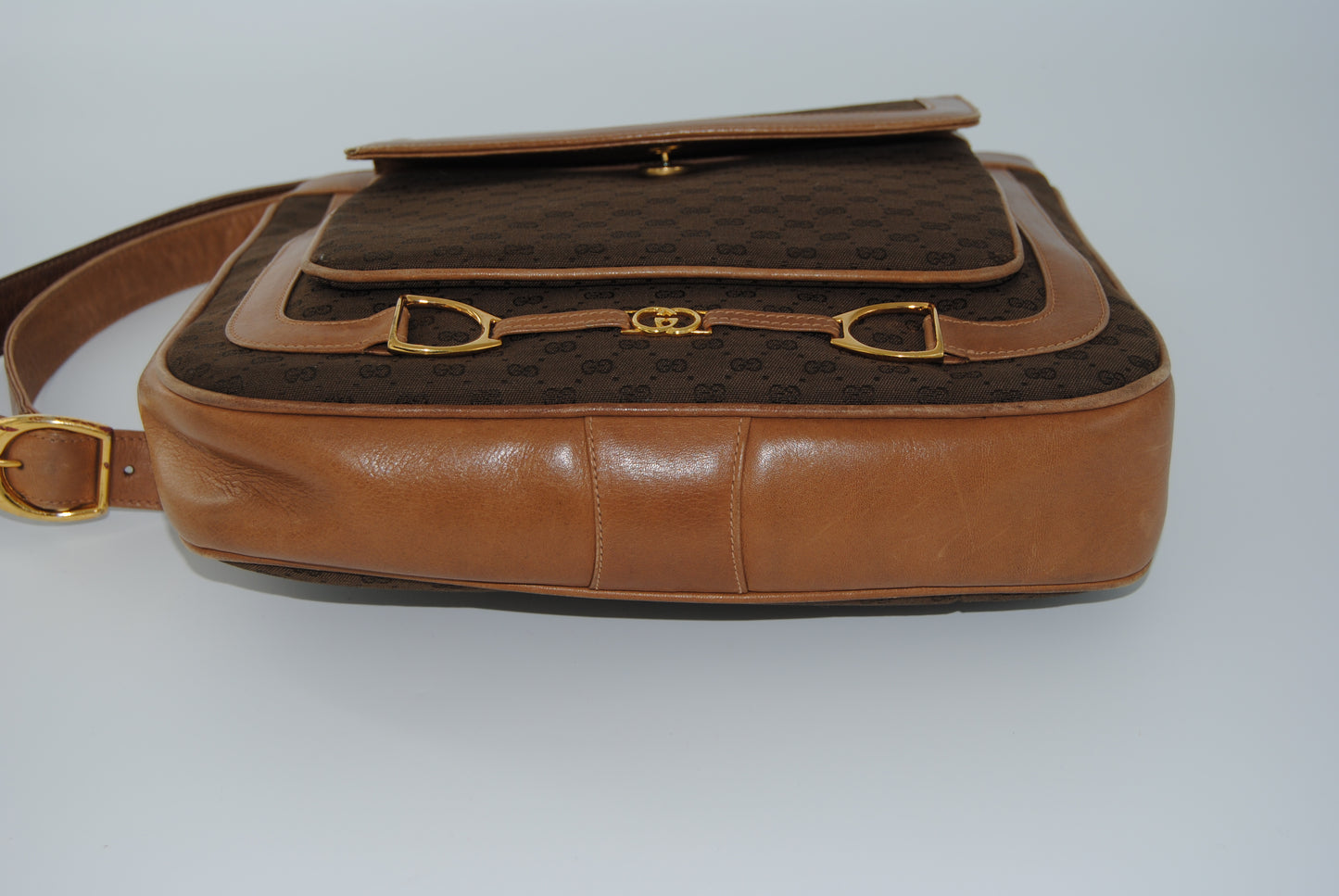 Gucci Canvas Micro GG Beige Marron