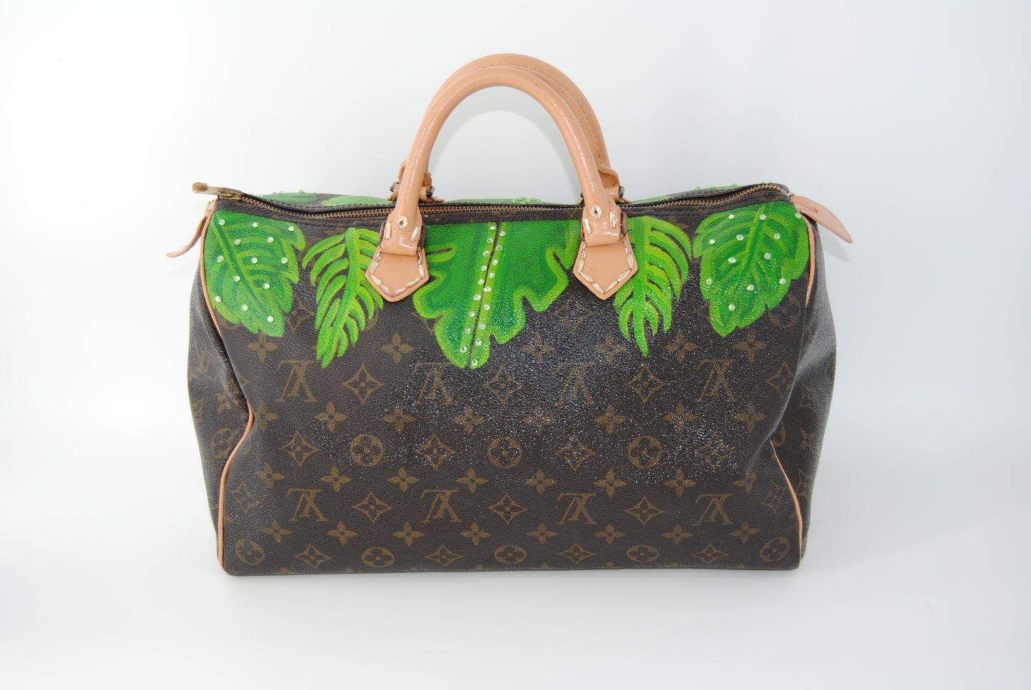 Louis Vuitton Speedy 30 Monogram Customized