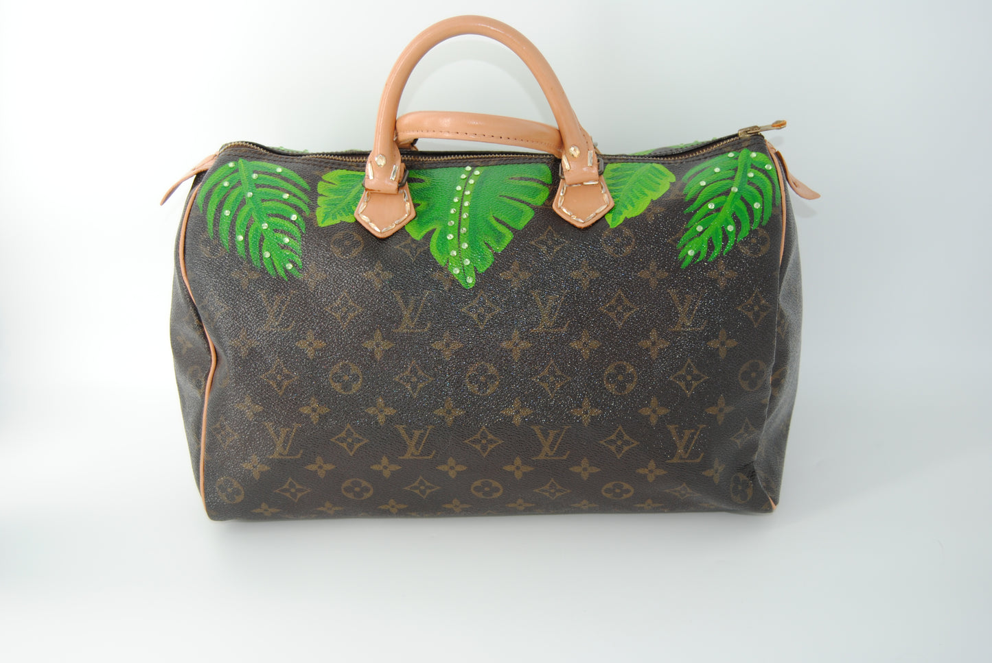 Louis Vuitton Speedy 30 Monogram Customized