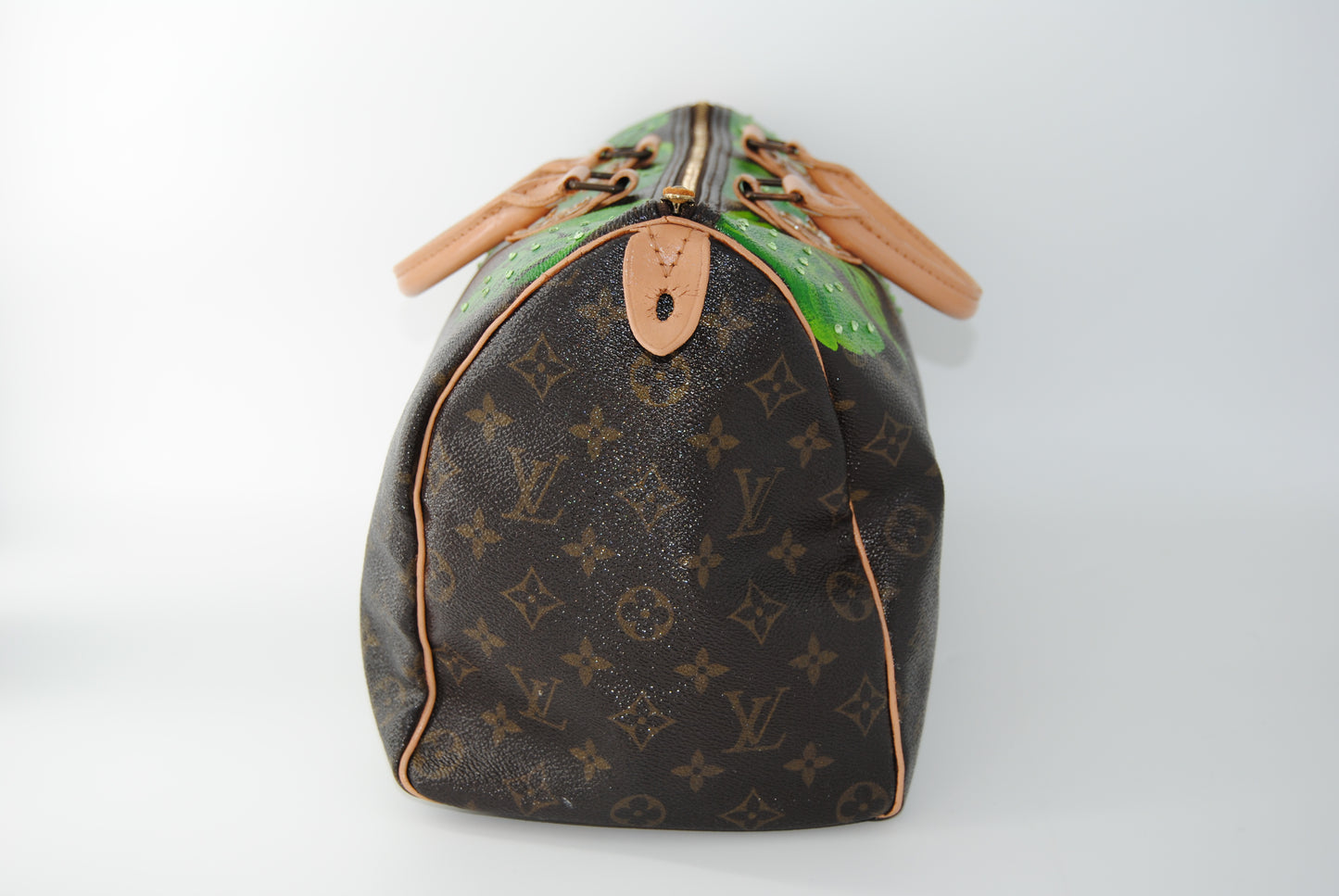 Louis Vuitton Speedy 30 Monogram Customized