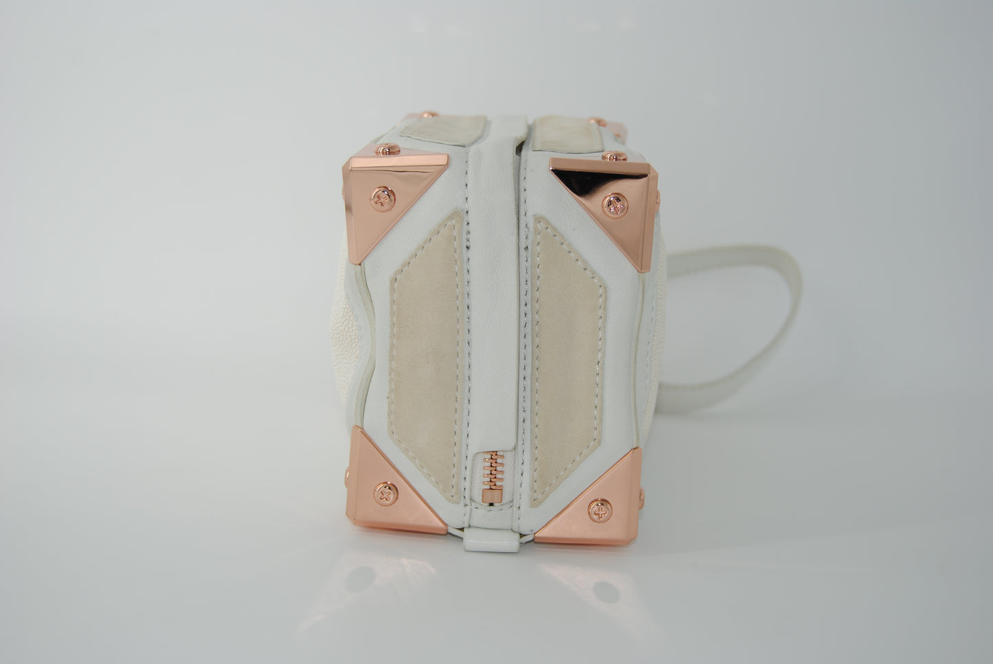 Alexander Wang Stingray Leather and Suede Clutch