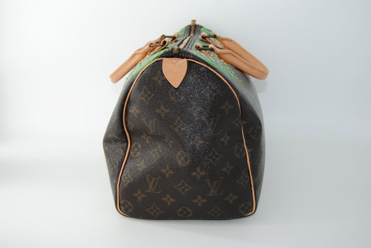 Louis Vuitton Speedy 30 Monogram Customized